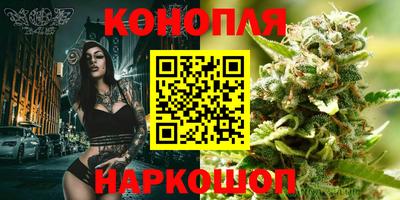 шишки Бузулук
